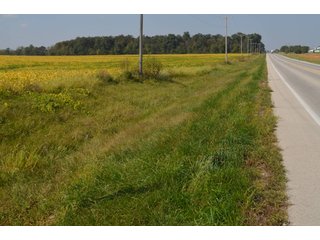 Property photo 65 - REAL ESTATE AUCTION - 604+/- ACRES IN 14 TRACTS IN MERCER CO., OHIO